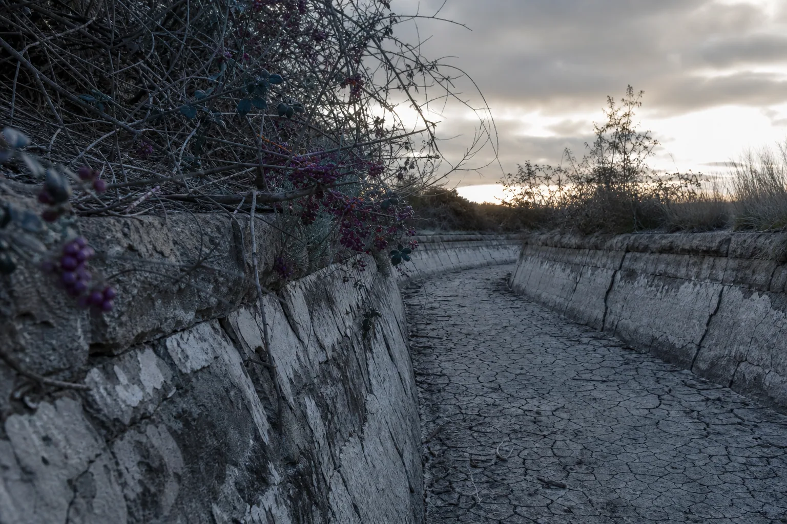 Canal d’irrigation à sec, maçonnerie fissurée, berges envahies par la végétation