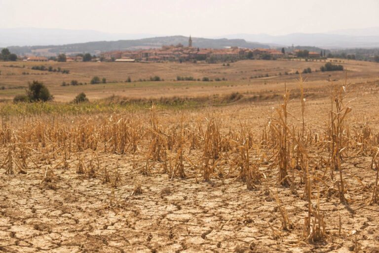 Canicule 2026 : la facture de 16 milliards d’euros et ses réserves de méthode